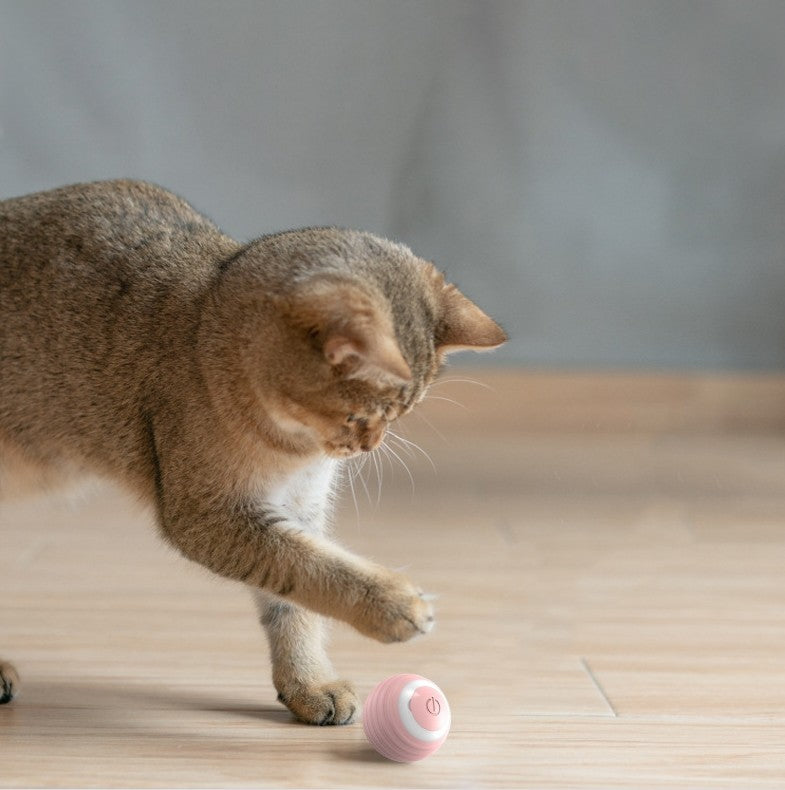 Haustierspielzeug, automatischer Katzenspielball